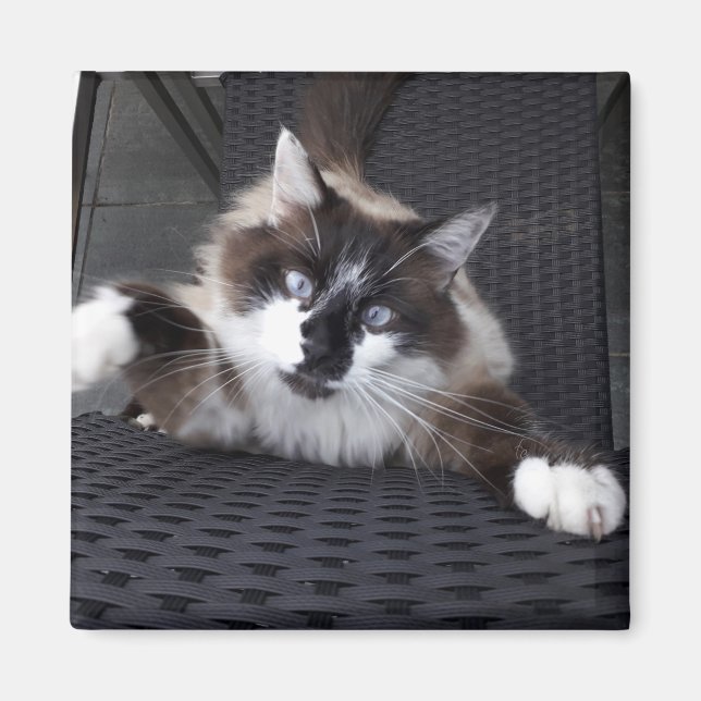 Imán ¡Vaya! - (Frente)