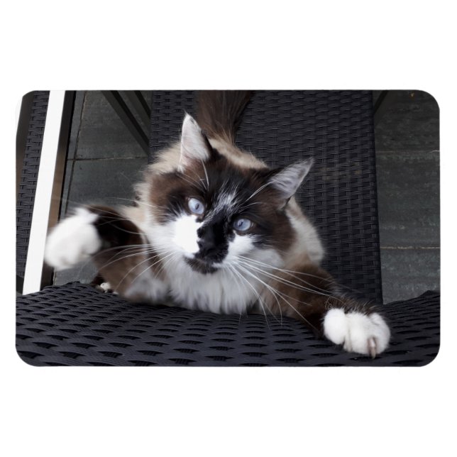 Imán ¡Vaya! (Horizontal)