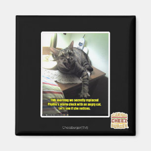 Imán Veamos si se da cuenta.