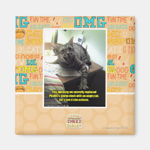 Imán Veamos si se da cuenta.