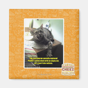 Imán Veamos si se da cuenta.