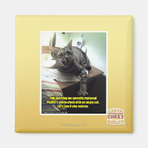 Imán Veamos si se da cuenta.