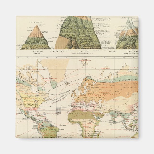 Imán Vegetación de distribución (Frente)