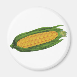 Imán Vegetales de alimentos de época; Maíz amarillo en