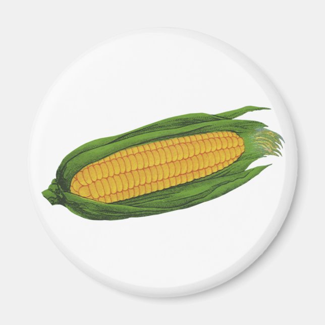 Imán Vegetales de alimentos de época; Maíz amarillo en  (Frente)