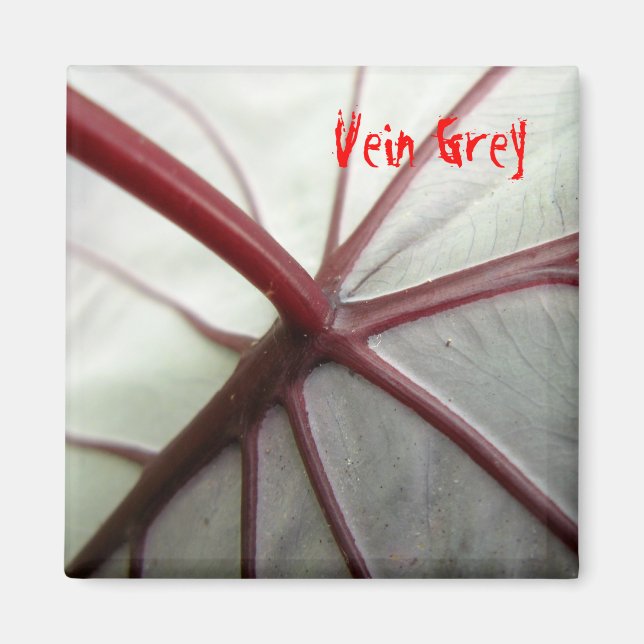 Imán Vein Gray (Frente)