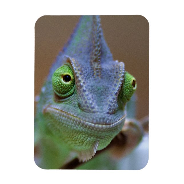 Imán Velado Chameleon (Vertical)
