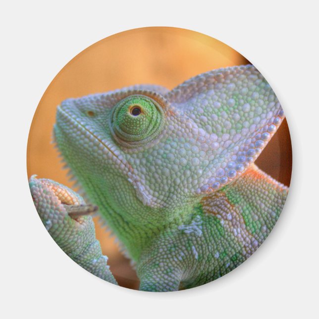 Imán Velado Chameleon (Frente)