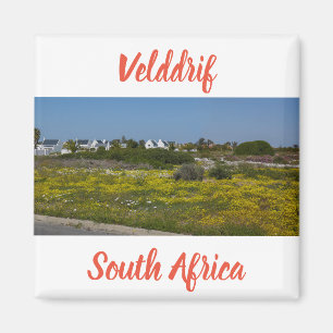 Imán Velddrif West Coast Flores silvestres en Sudáfrica
