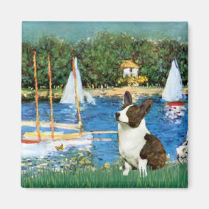Imán Velero - Cardigan Welsh Corgi 5