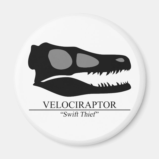 Imán Velociraptor Skull (Frente)