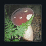 Imán Velvet Mushroom Magnet<br><div class="desc">¡Un hongo muy agradable! Hay varios elementos de coordinación disponibles para la combinación 'n match.</div>