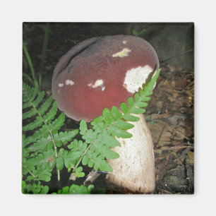 Imán Velvet Mushroom Magnet