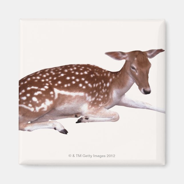 Imán venado 2 (Frente)