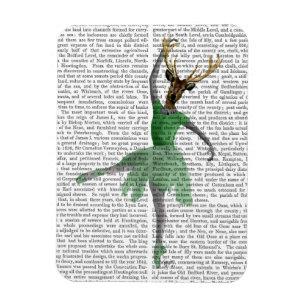 Imán Venado de ballet en verde