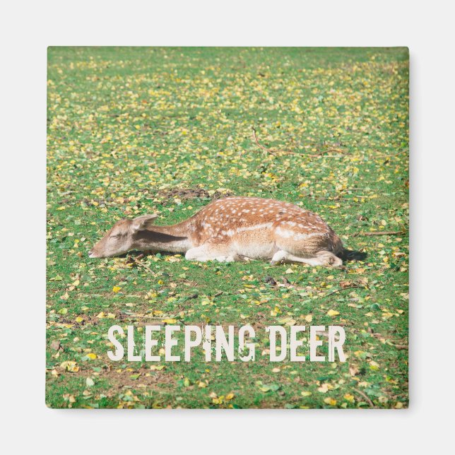 Imán Venado dormido en hibernación en otoño en pradera (Frente)