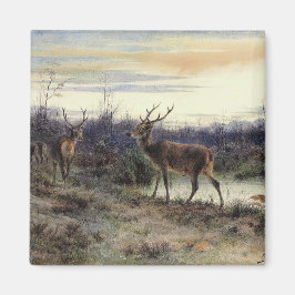 Imán Venado en el bosque de Fontainebleau (Rosa Bonheur