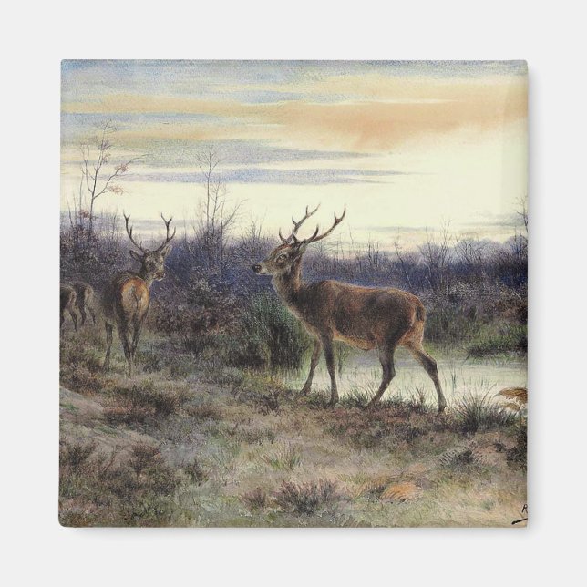 Imán Venado en el bosque de Fontainebleau (Rosa Bonheur (Frente)