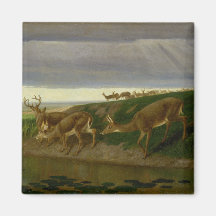 Venado en la pradera (por William Holbrook Beard)