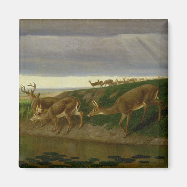 Imán Venado en la pradera (por William Holbrook Beard) (Frente)