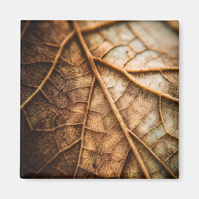 Imán Venas de Otoño (Frente)