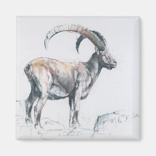 Imán Venerando Stambecco 2006