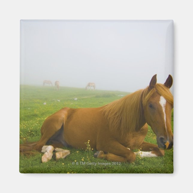 Imán veneto italia 2 (Frente)