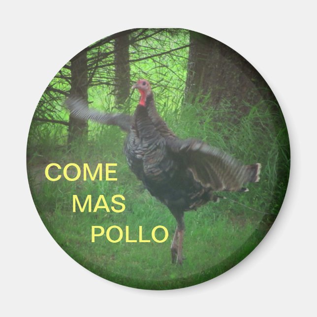 Imán Venga Mas Pollo Funny Turquía (Frente)