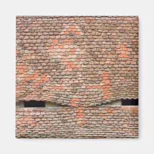 Imán Ventanales de lluvia ojiva en el techo de baldosas