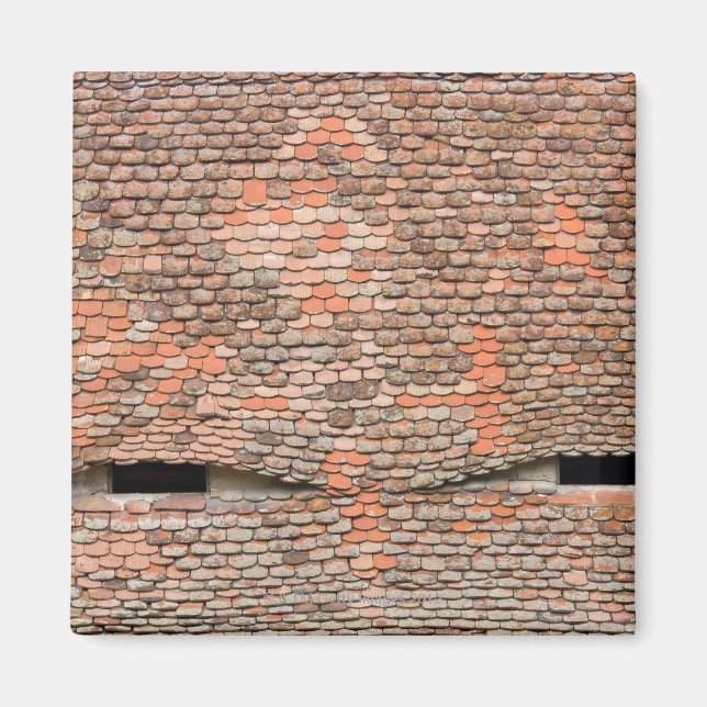 Imán Ventanales de lluvia ojiva en el techo de baldosas (Frente)