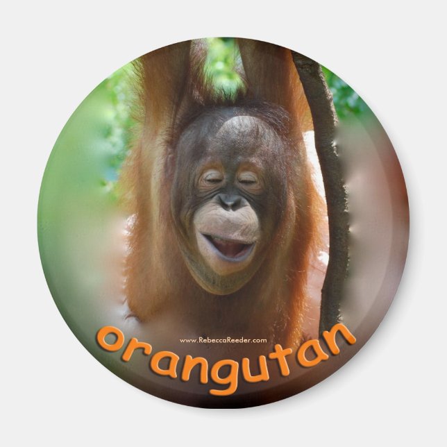 Imán Ventilador Oficial de Orangutan (Frente)