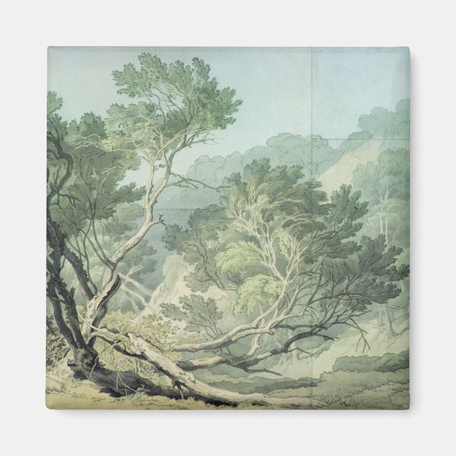 Imán Ver cerca de Fordlands, Exeter (Frente)