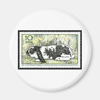 Imán Ver el salto de punto