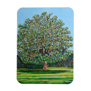 Imán Verano del árbol del arco
