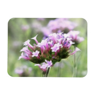 Imán Verbena Bonariensis