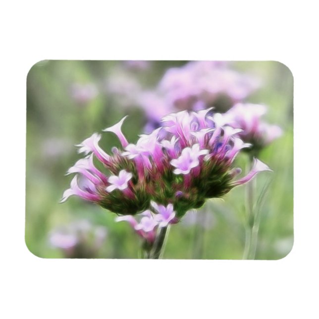 Imán Verbena Bonariensis (Horizontal)