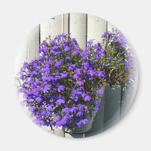 Imán Verbena Magnet