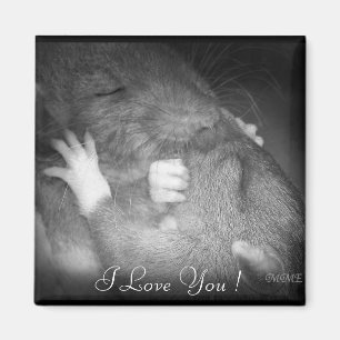 Imán verdadero del amor