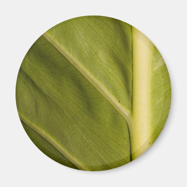 Imán Verde 01 (Frente)