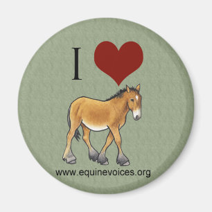 Imán verde de Gulliver del amor equino de las