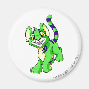 Imán Verde de Kougra