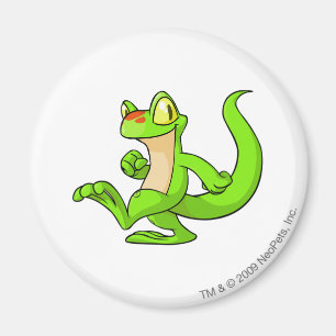 Imán Verde de Techo