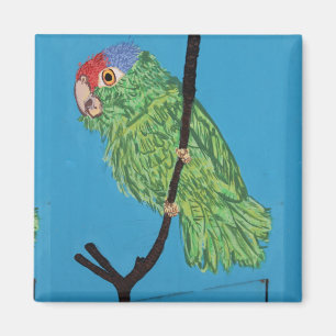 imán verde del loro