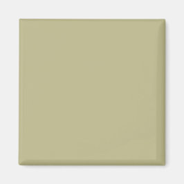 Imán Verde Salvia Color Sólido | Clásico | Elegante