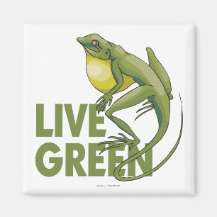 Imán Verde vivo