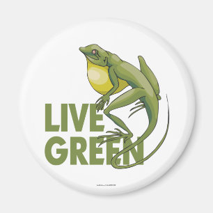 Imán Verde vivo