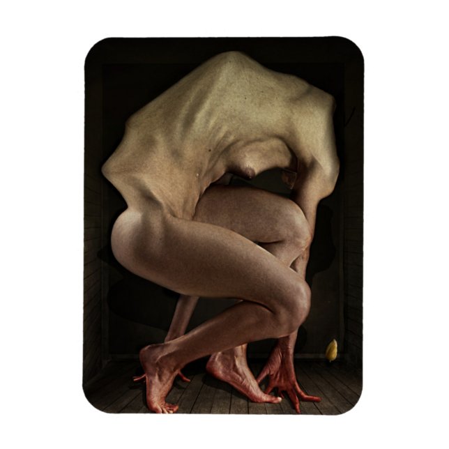 Imán Vergüenza 2012 (Vertical)