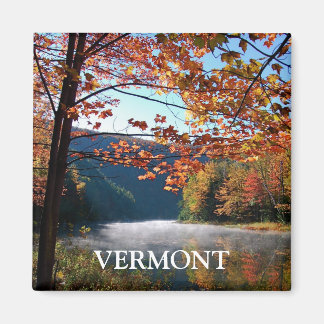 Imán Vermont Magnet