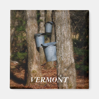 Imán Vermont Sap Bucket