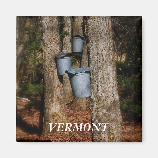 Imán Vermont Sap Bucket (Frente)